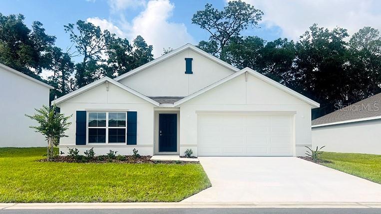10036 SE 161ST LANE RD, SUMMERFIELD, FL, 34491