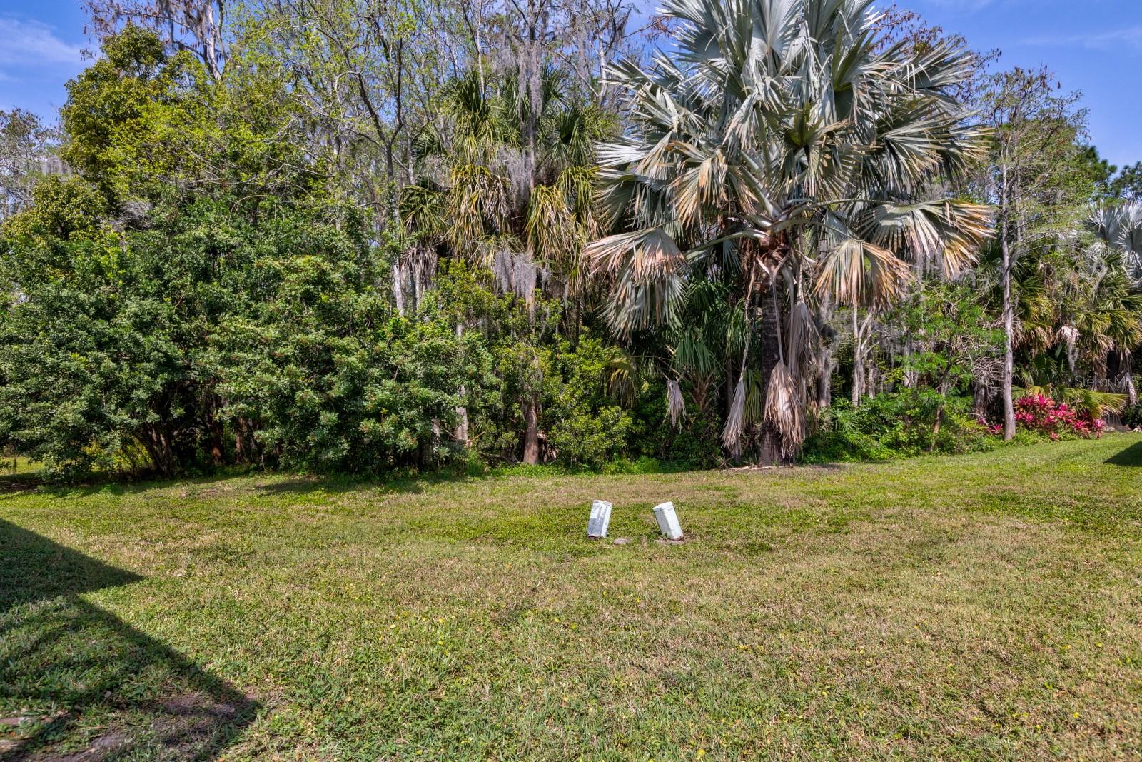 10707 LARISSA ST, ORLANDO, FL, 32821