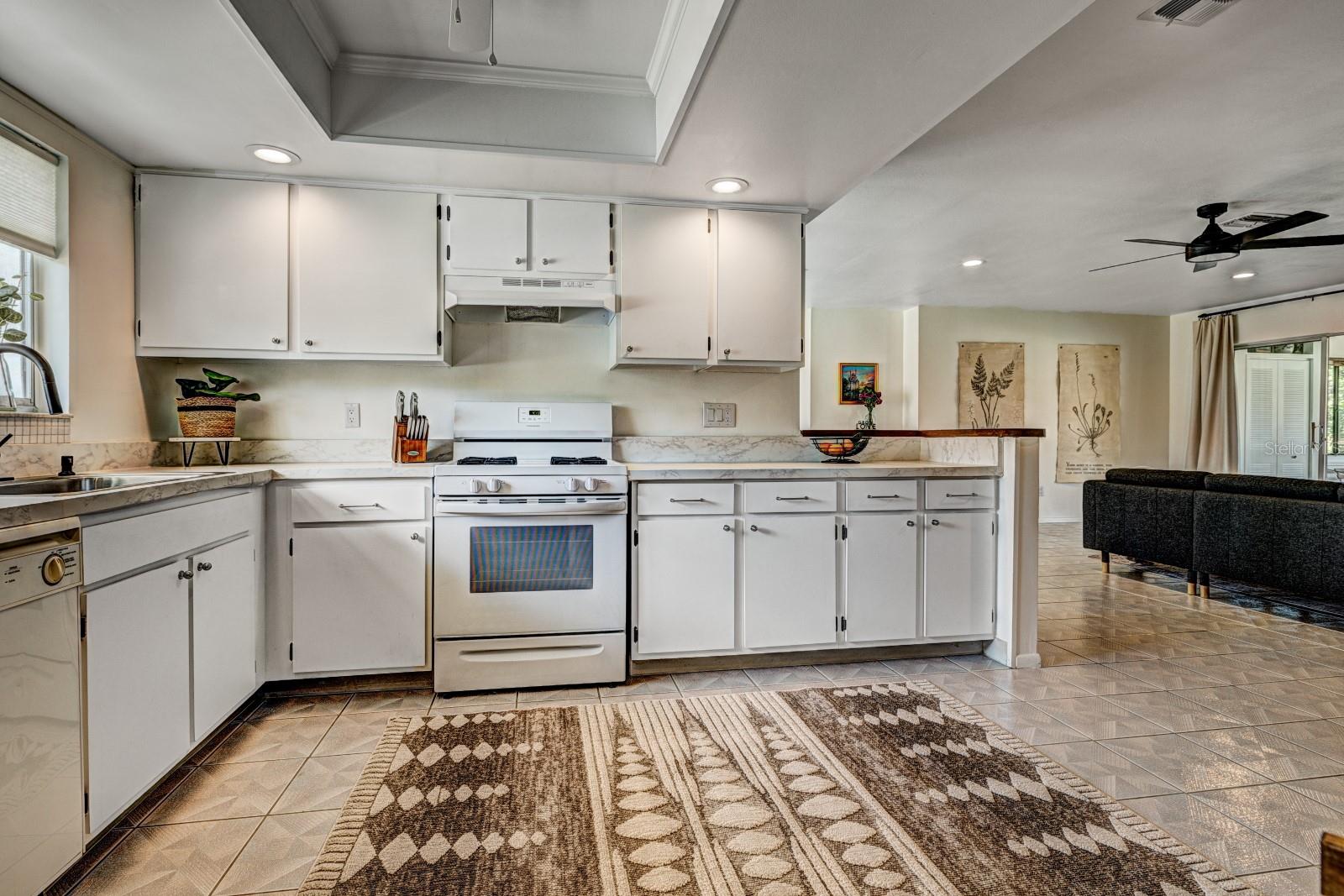 10707 LARISSA ST, ORLANDO, FL, 32821