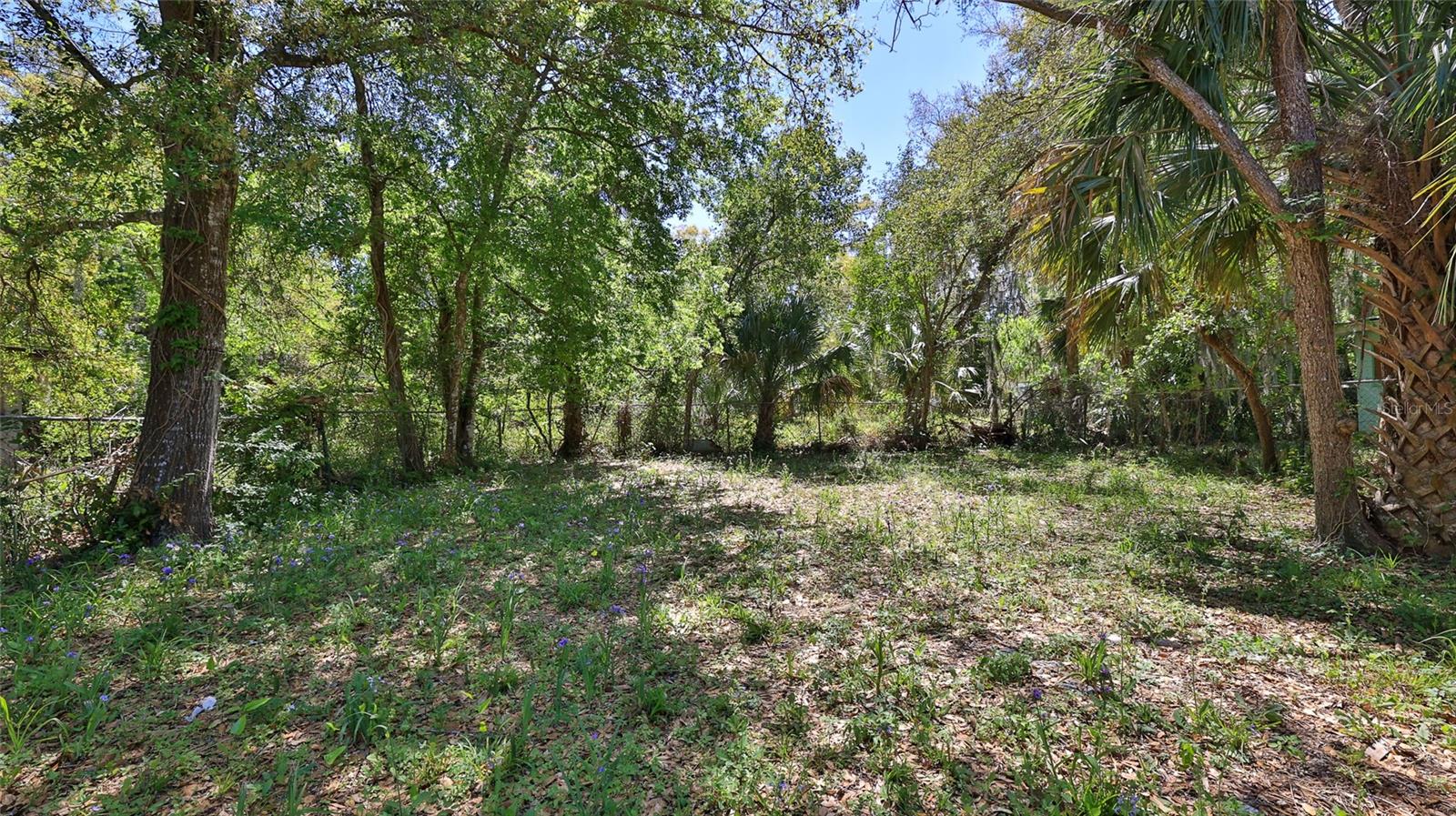 709 CEDAR ST, DAYTONA BEACH, FL, 32114