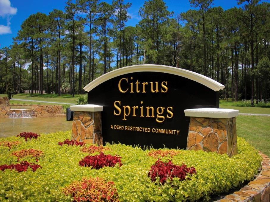 11670 N PROVIDENCE WAY, CITRUS SPRINGS, FL, 34434