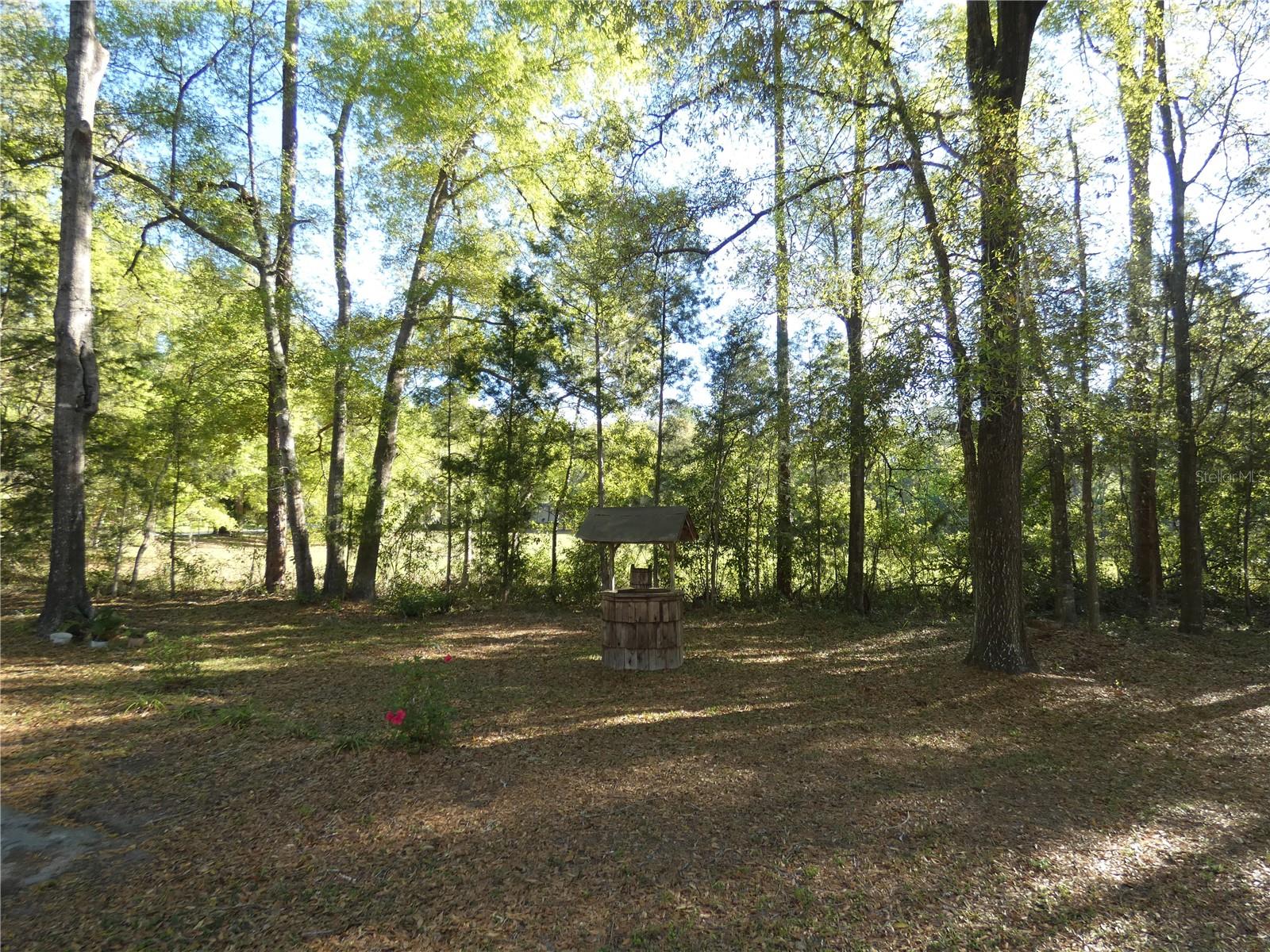 9855 SW 203RD CIR, DUNNELLON, FL, 34431