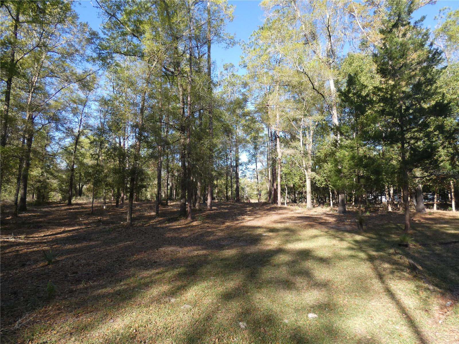 9855 SW 203RD CIR, DUNNELLON, FL, 34431
