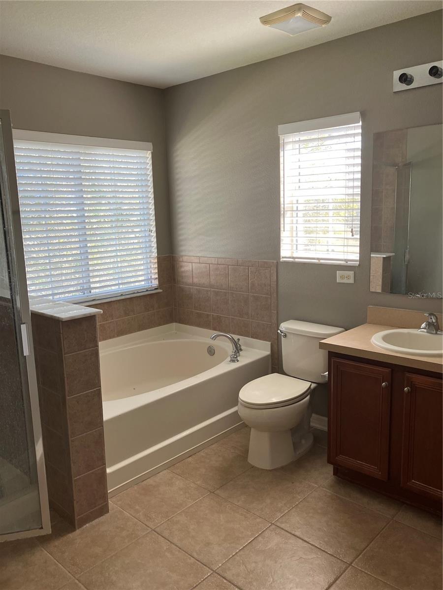 7252 SEEDPOD LOOP, WESLEY CHAPEL, FL, 33545
