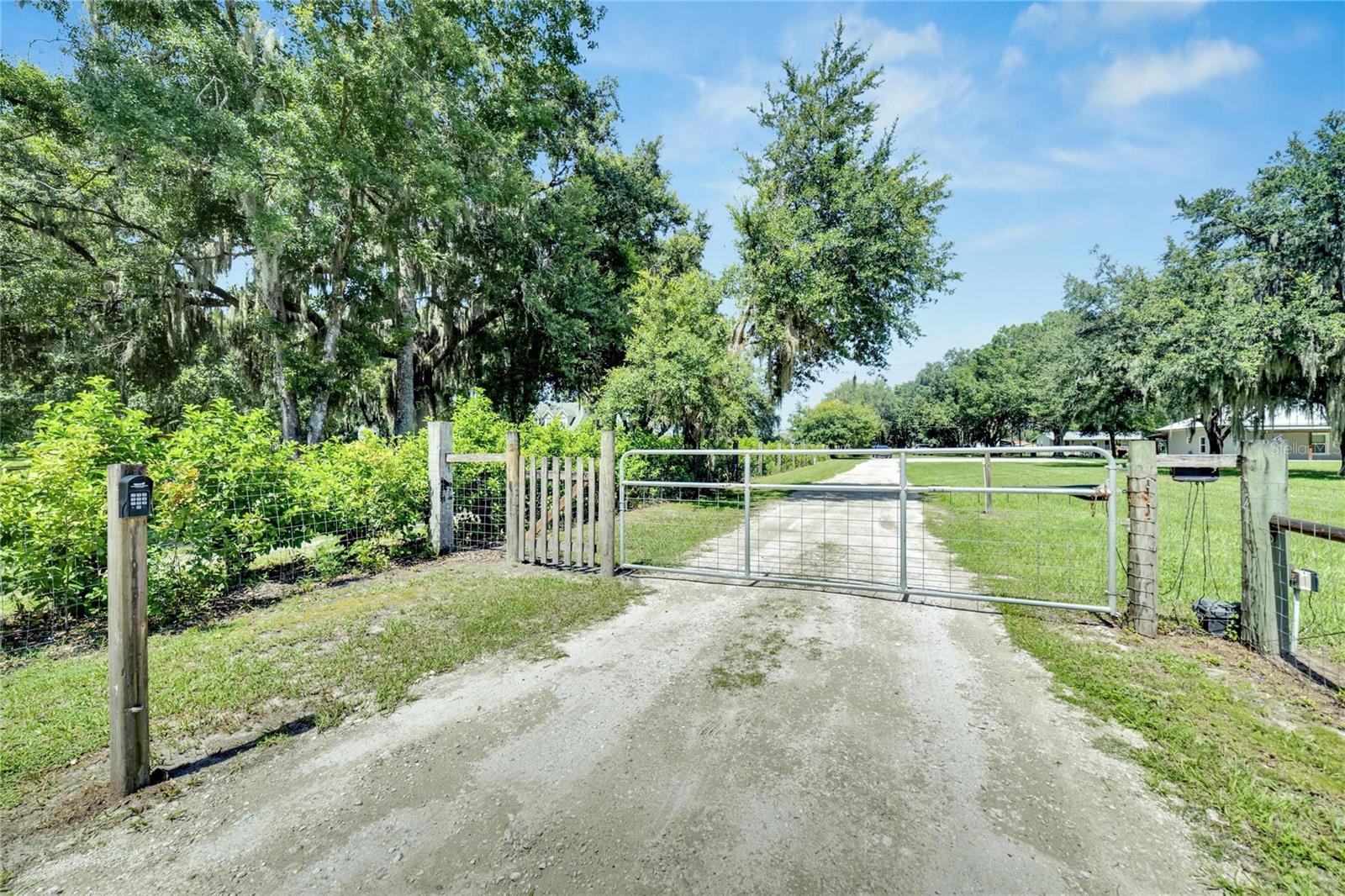 9017 S COUNTY LINE RD, LITHIA, FL, 33547