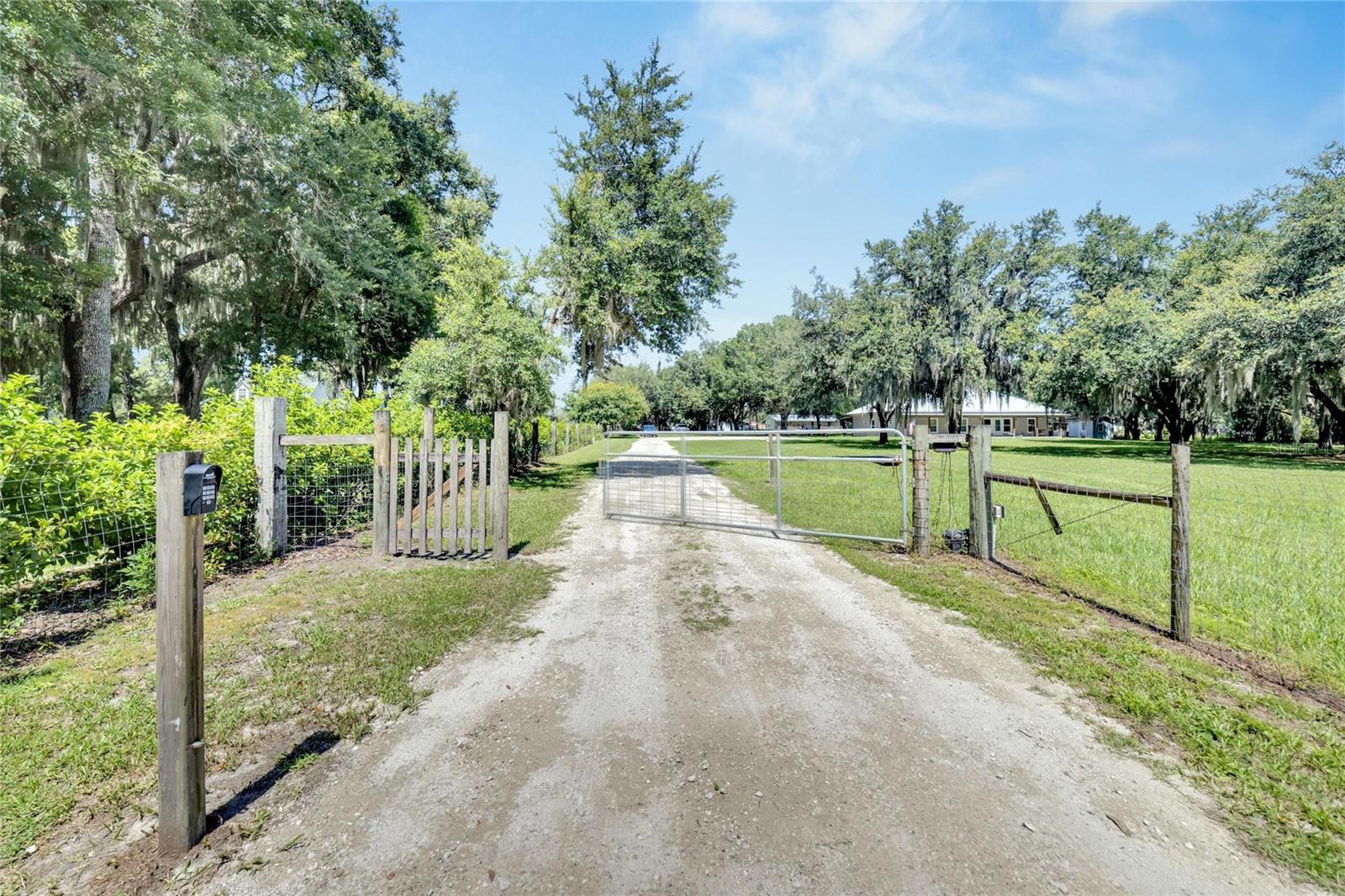9017 S COUNTY LINE RD, LITHIA, FL, 33547