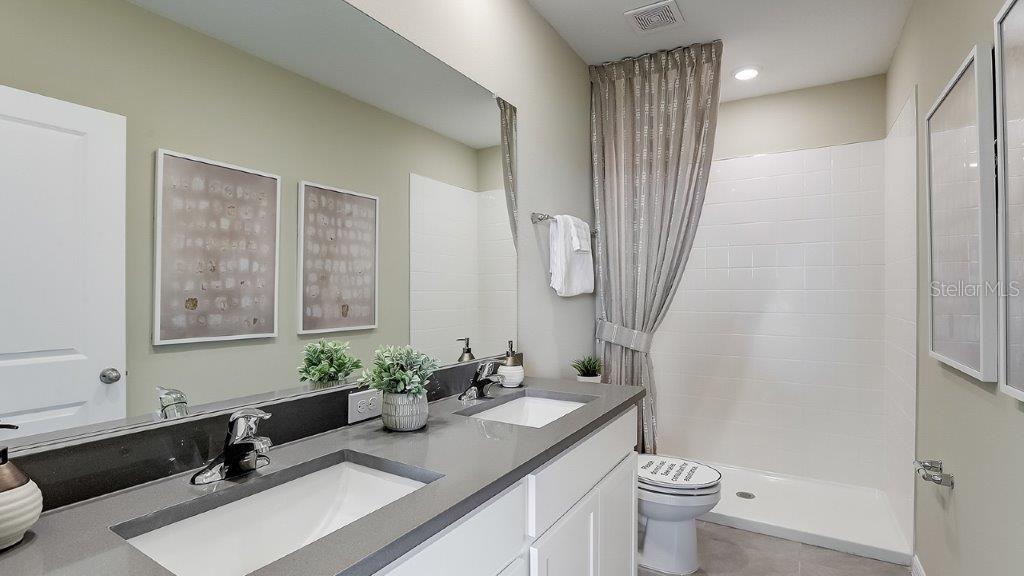 31283 PAPER BIRCH ST, WESLEY CHAPEL, FL, 33545
