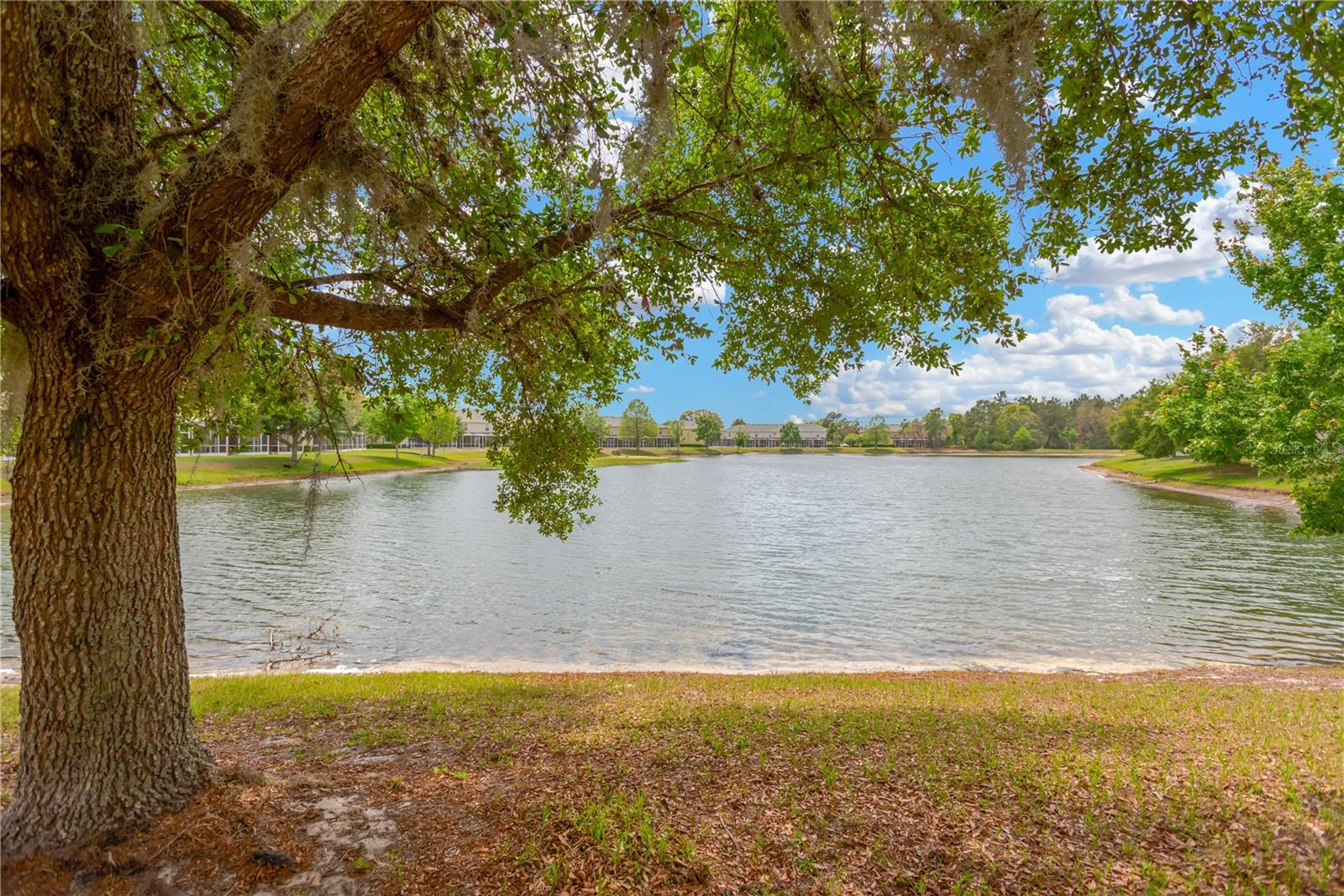 15933 STABLE RUN DR, SPRING HILL, FL, 34610