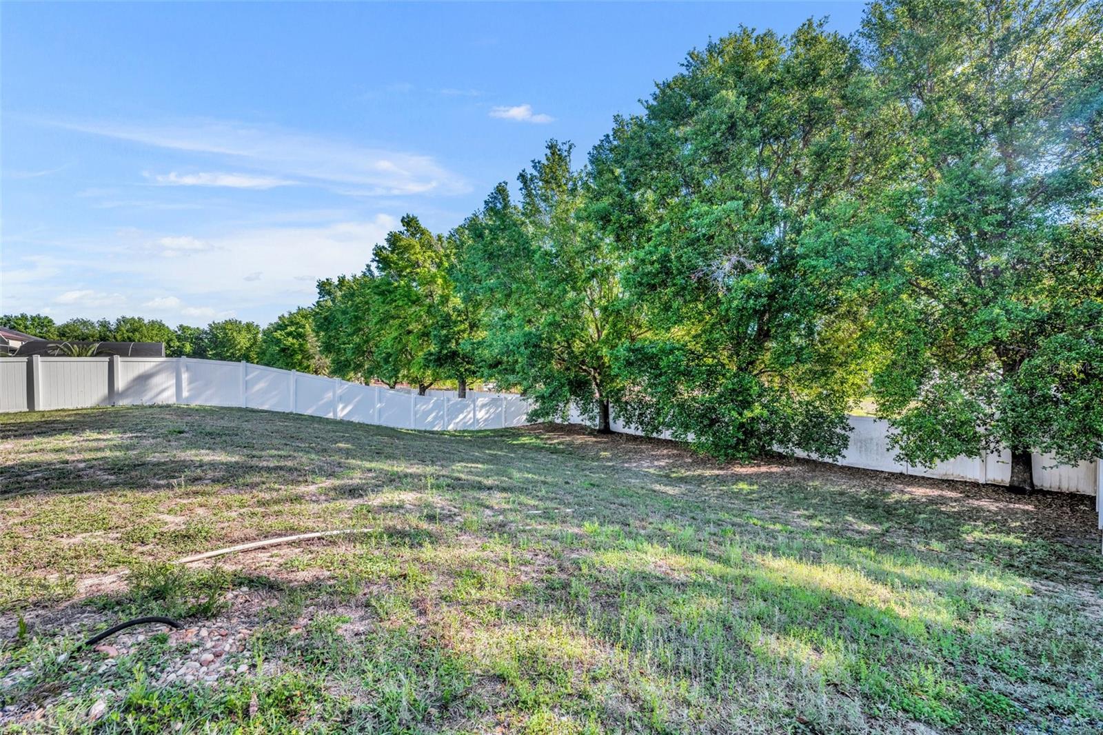 10219 LENOX ST, CLERMONT, FL, 34711