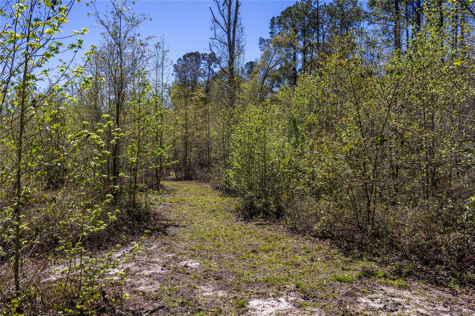 6917 NW 254TH AVE, ALACHUA, FL, 32615