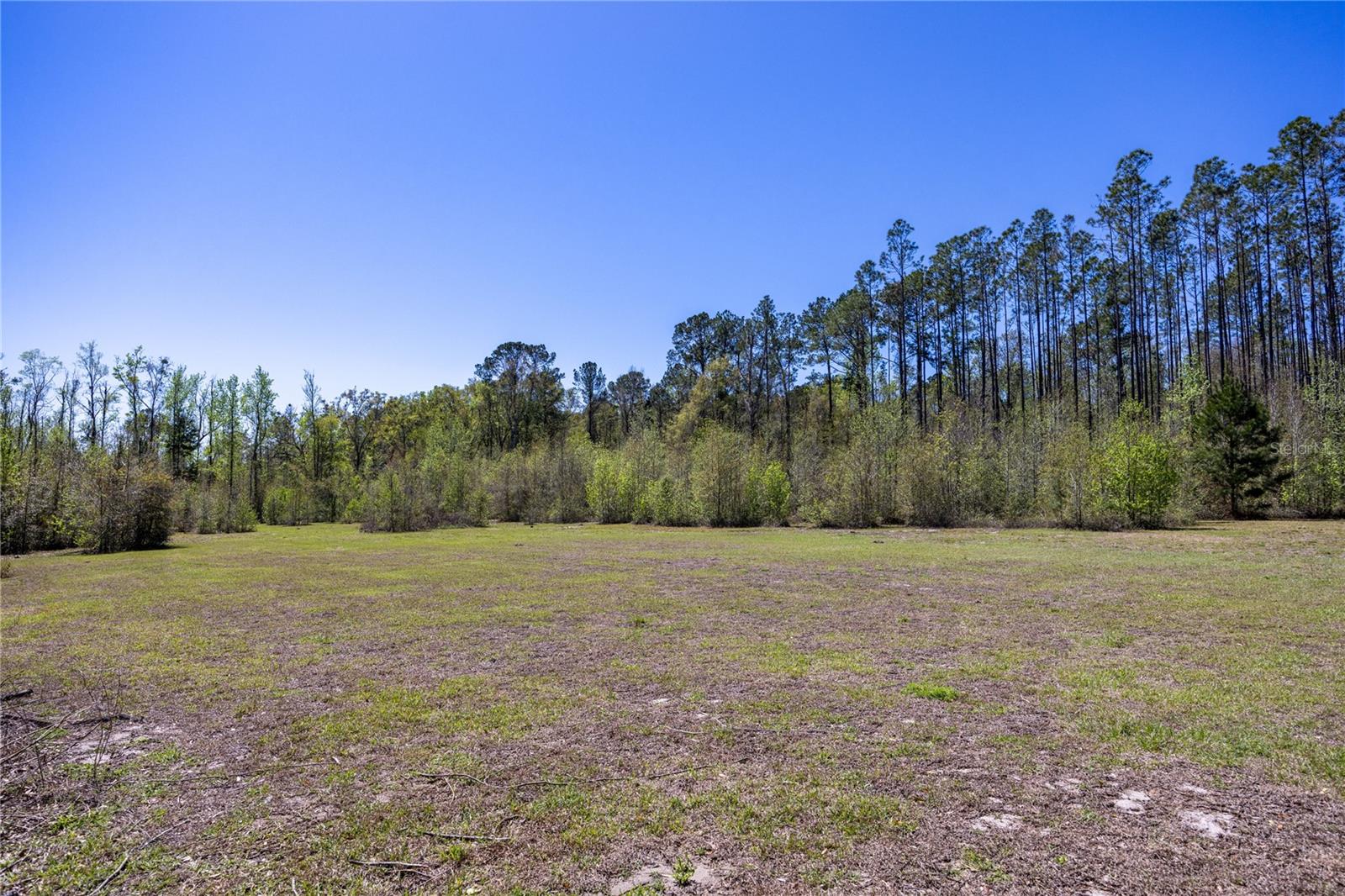 6917 NW 254TH AVE, ALACHUA, FL, 32615
