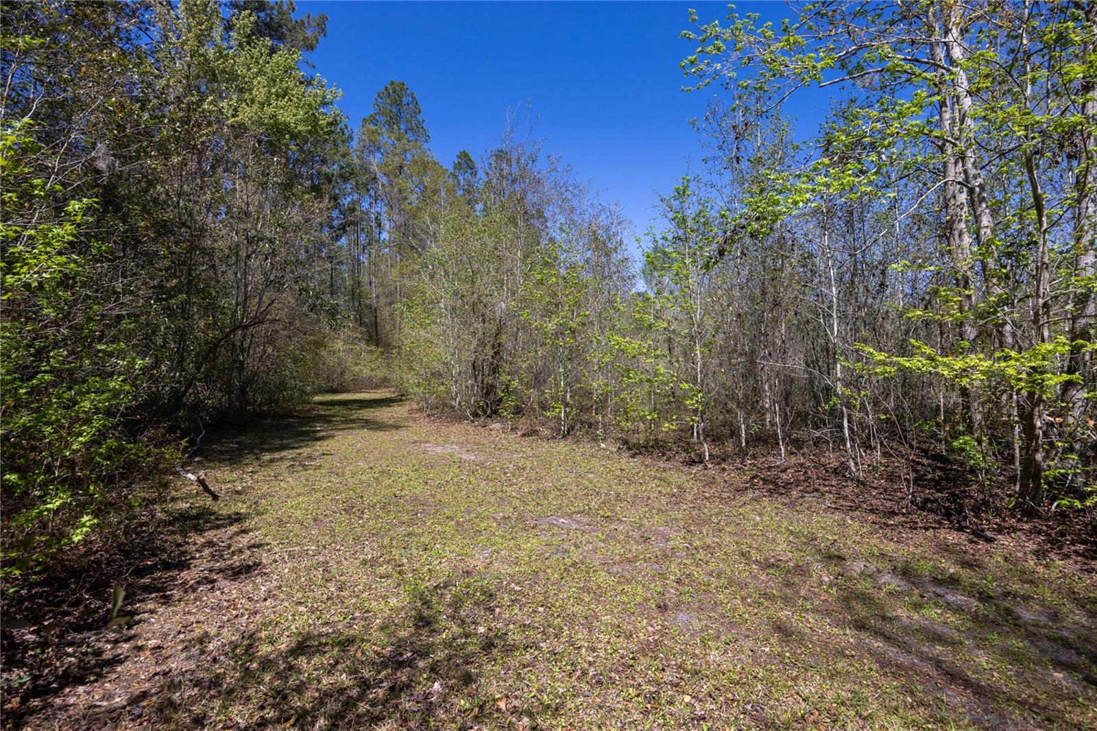 6917 NW 254TH AVE, ALACHUA, FL, 32615
