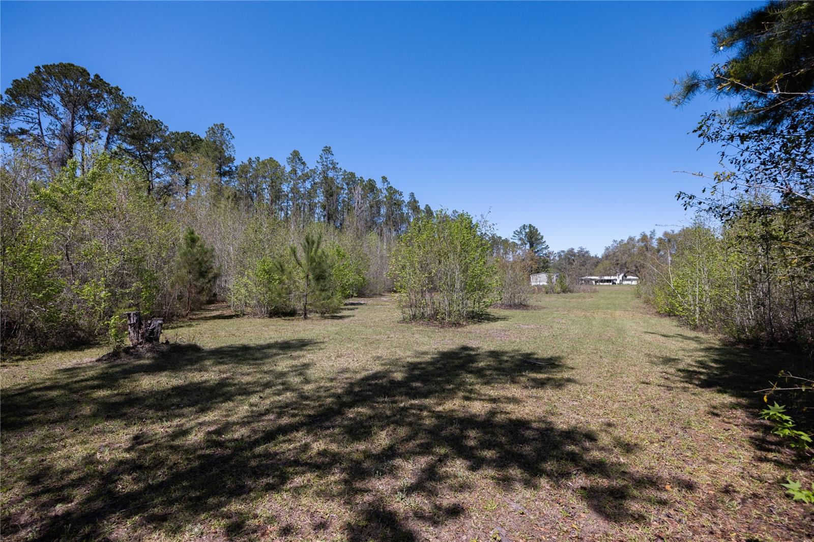6917 NW 254TH AVE, ALACHUA, FL, 32615