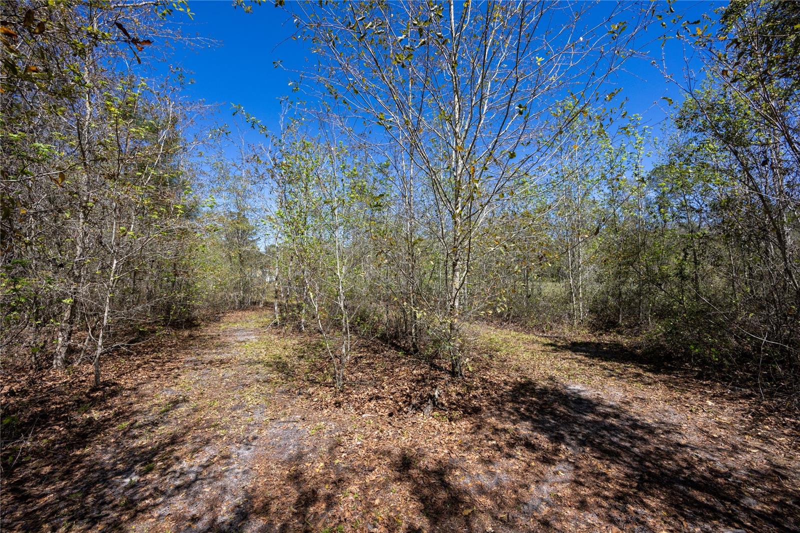 6917 NW 254TH AVE, ALACHUA, FL, 32615