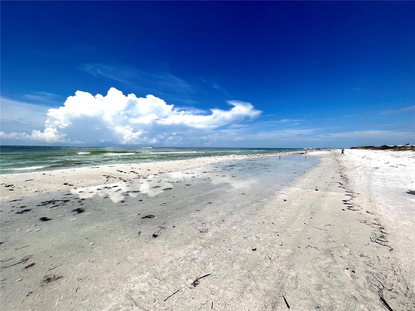 880 MANDALAY AVE #N802, CLEARWATER BEACH, FL, 33767