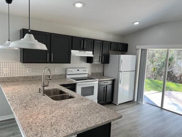 25852 TERRAWOOD LOOP, LAND O LAKES, FL, 34639