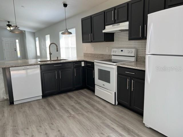 25852 TERRAWOOD LOOP, LAND O LAKES, FL, 34639
