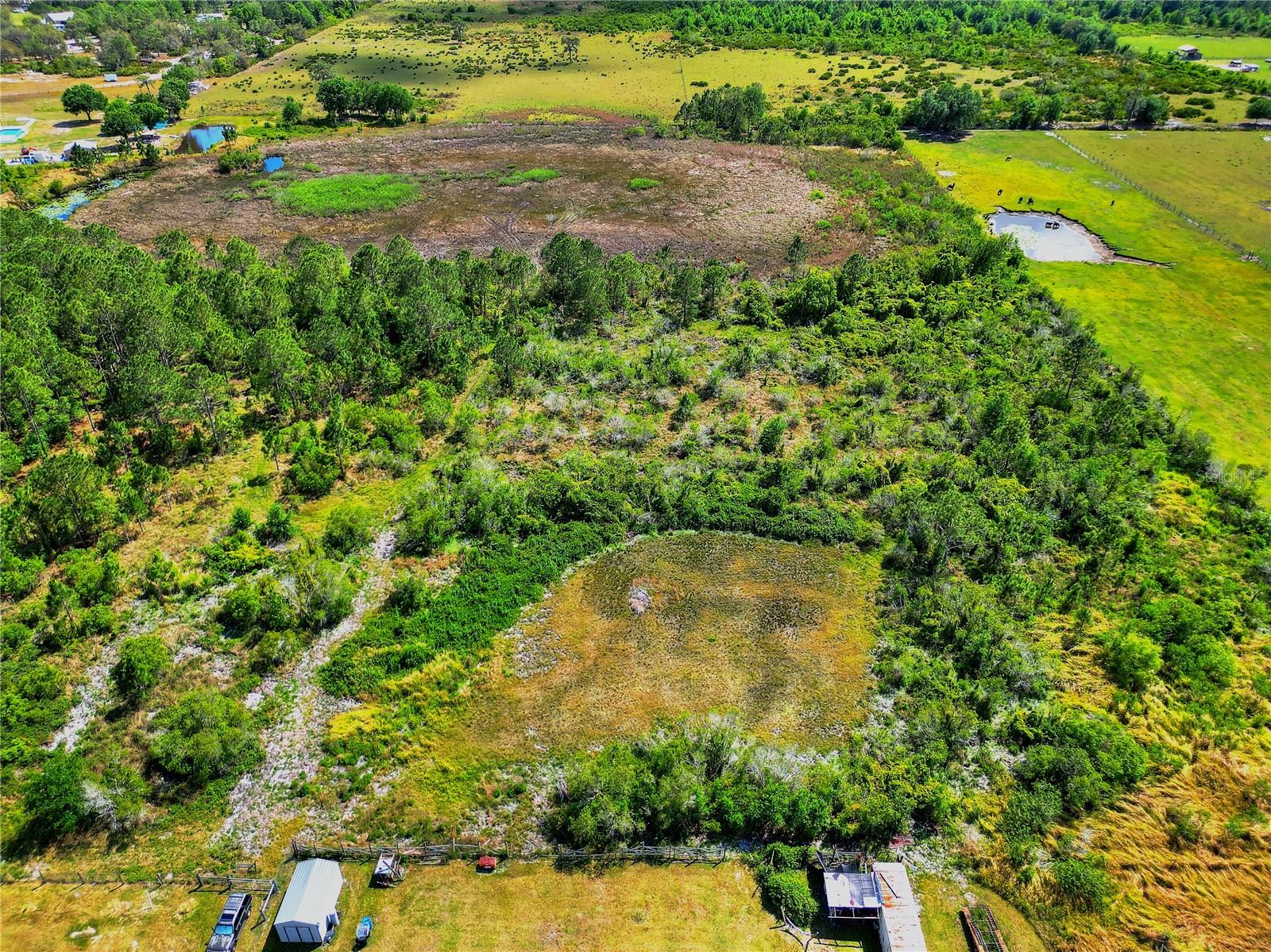 9780 LAKE BUFFUM RD N, FORT MEADE, FL, 33841