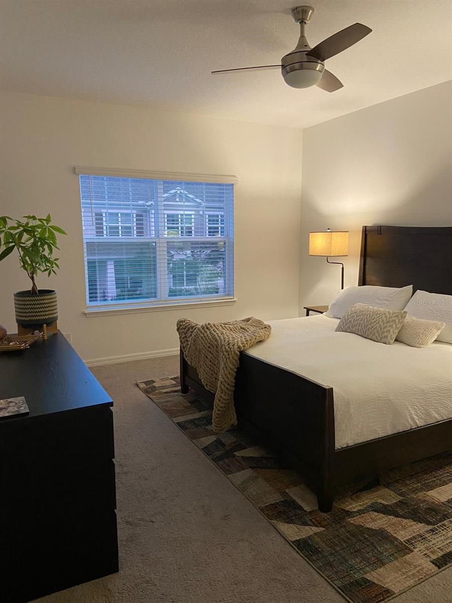 WINDING BAY PRESERVE, WINTER GARDEN, FL, 34787