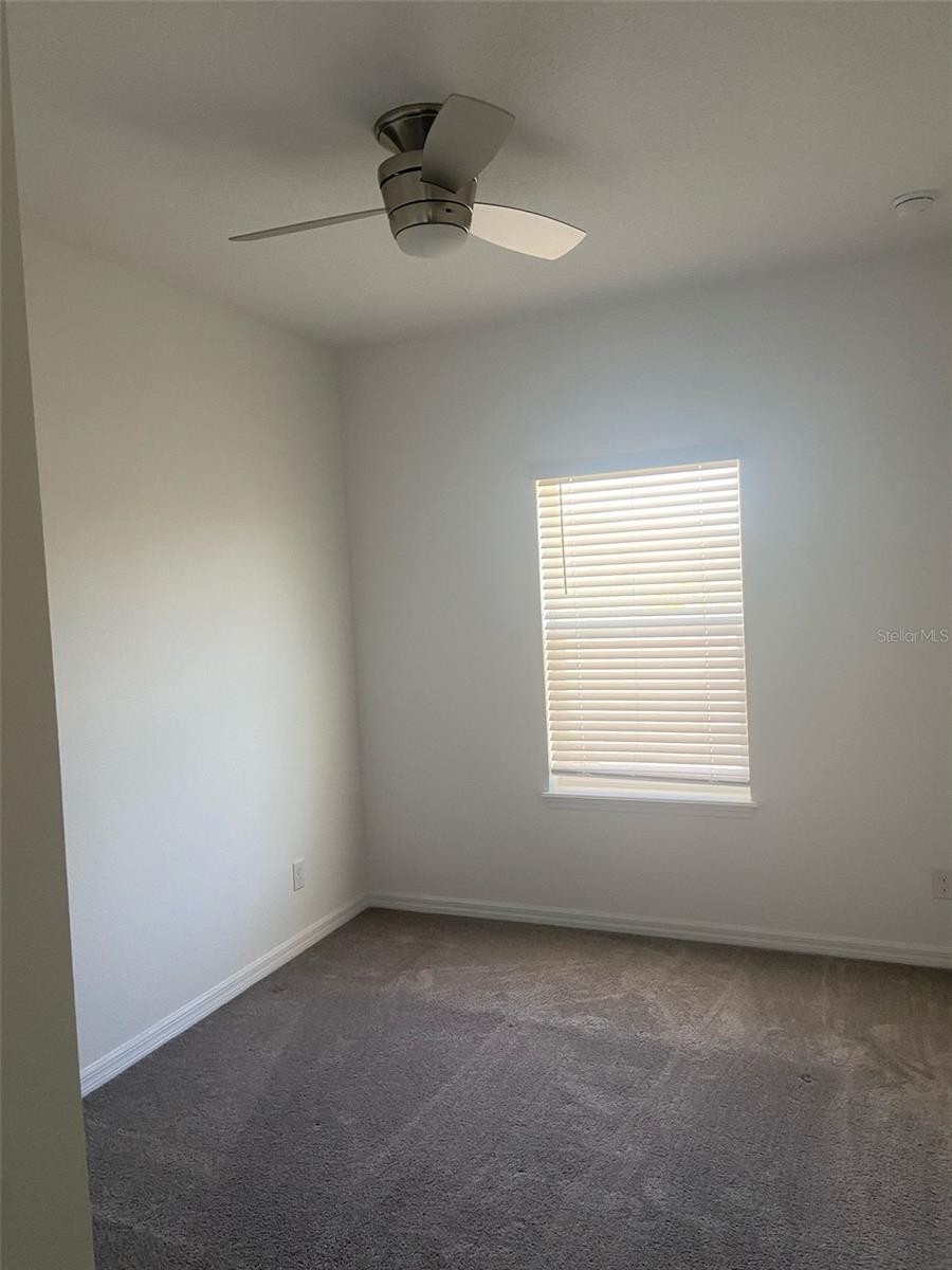 WINDING BAY PRESERVE, WINTER GARDEN, FL, 34787