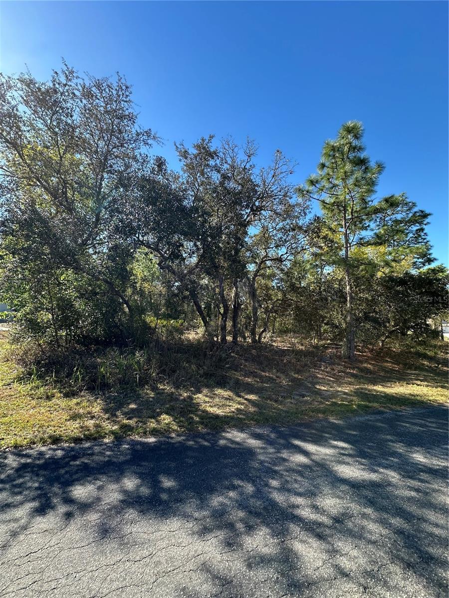 7 SWEETBAY CT, HOMOSASSA, FL, 34446