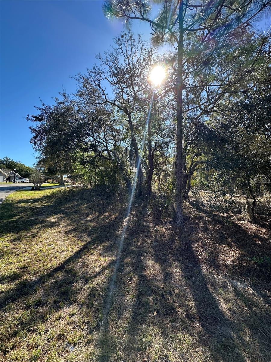 7 SWEETBAY CT, HOMOSASSA, FL, 34446