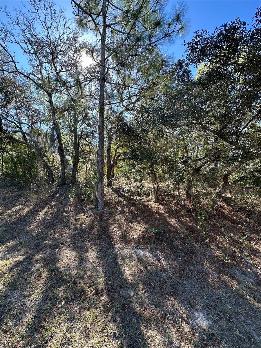 7 SWEETBAY CT, HOMOSASSA, FL, 34446