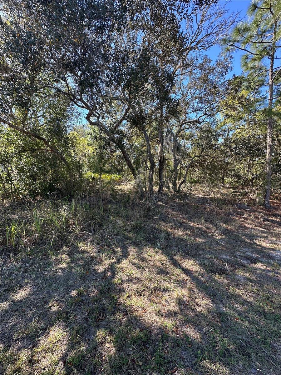 7 SWEETBAY CT, HOMOSASSA, FL, 34446