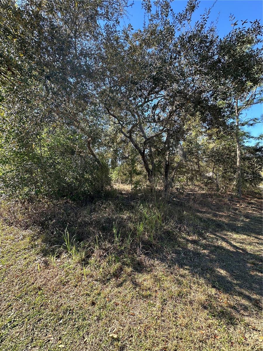 7 SWEETBAY CT, HOMOSASSA, FL, 34446