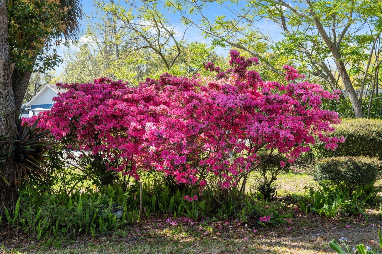 2335 SUMMERFIELD AVE, SPRING HILL, FL, 34609