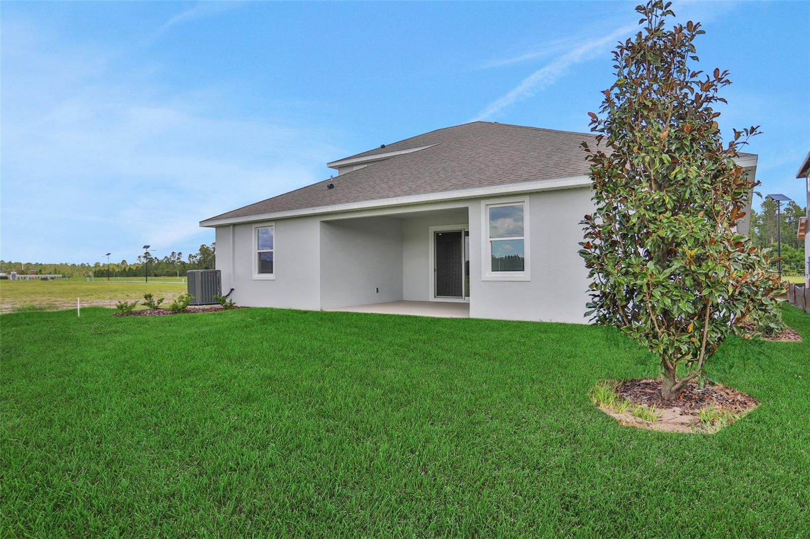 17350 CRISP APPLE LN, LAND O LAKES, FL, 34638