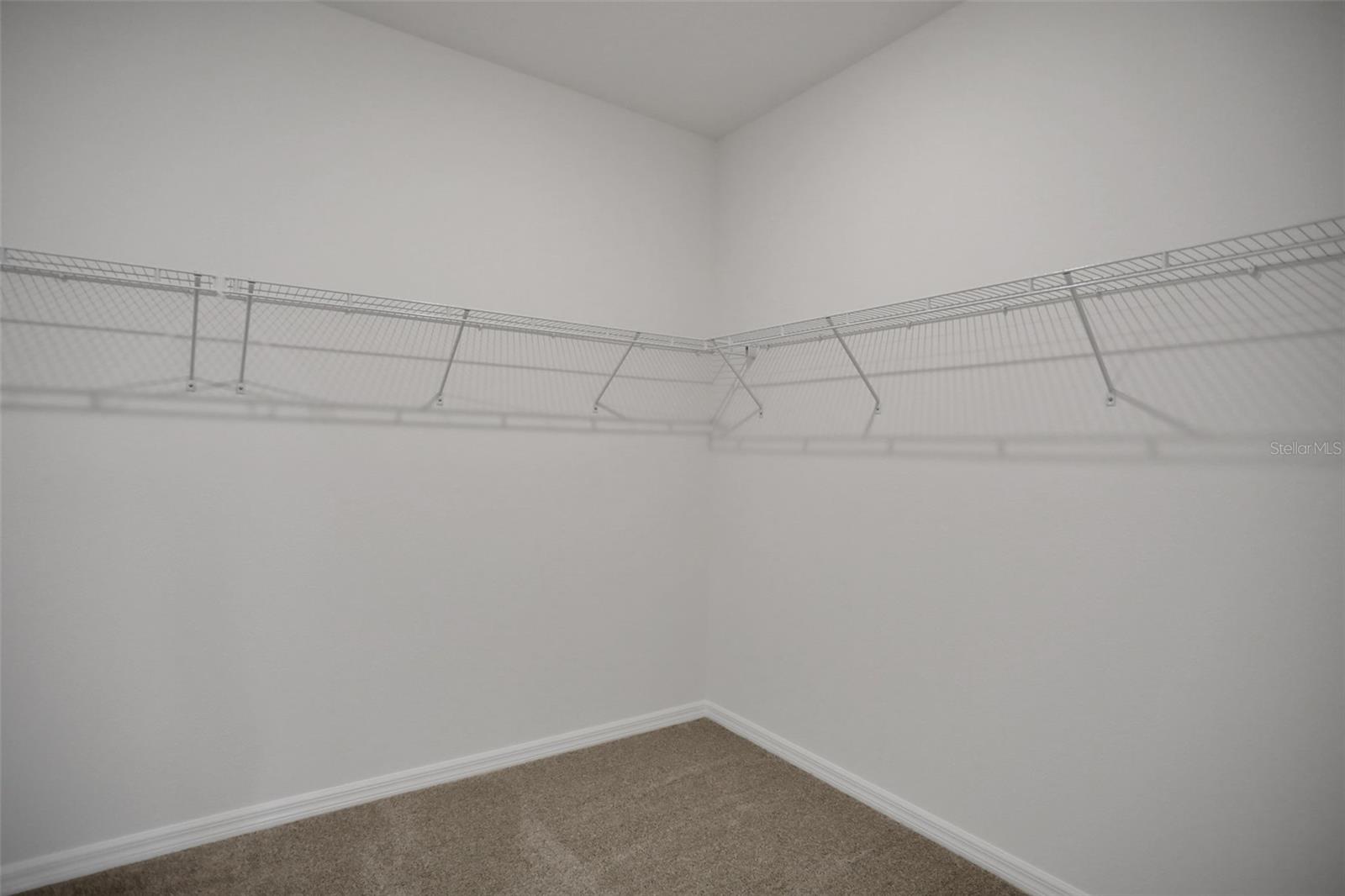 17350 CRISP APPLE LN, LAND O LAKES, FL, 34638