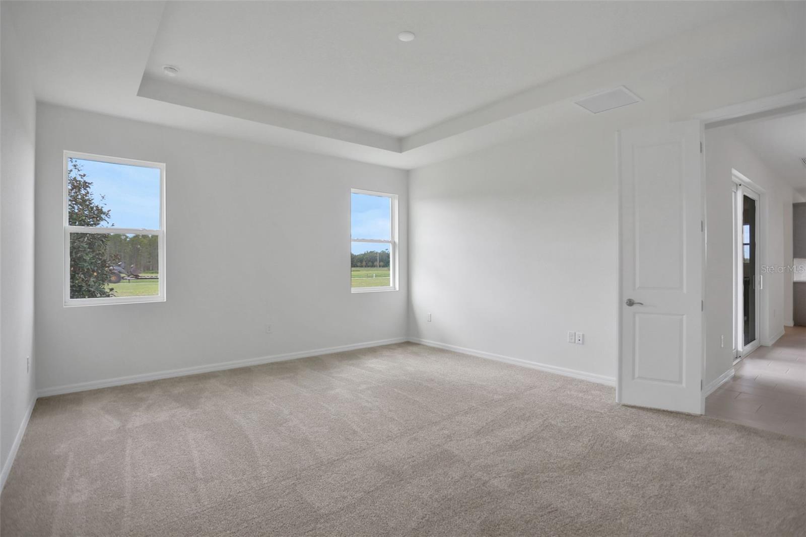 17350 CRISP APPLE LN, LAND O LAKES, FL, 34638