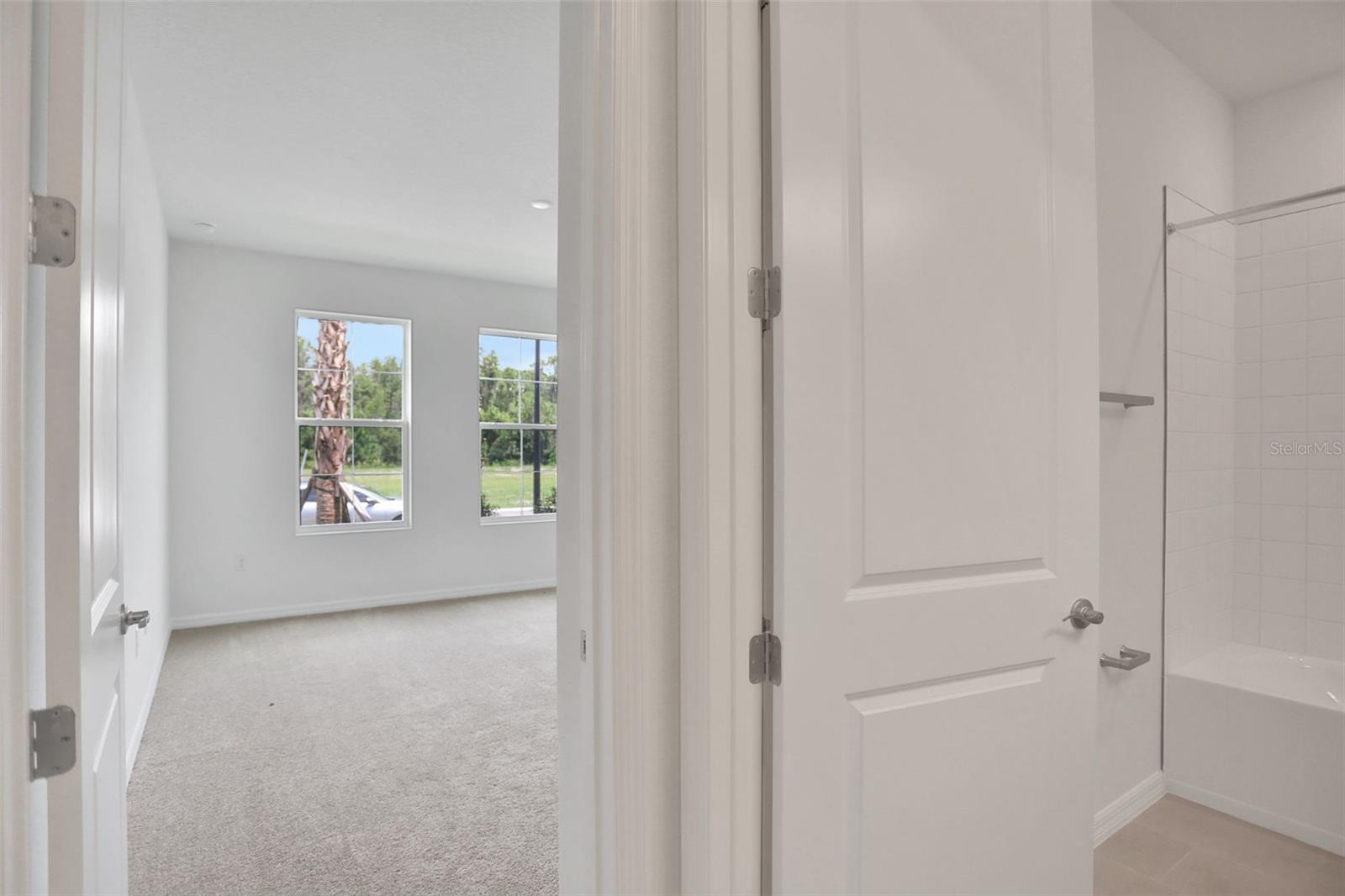 17350 CRISP APPLE LN, LAND O LAKES, FL, 34638