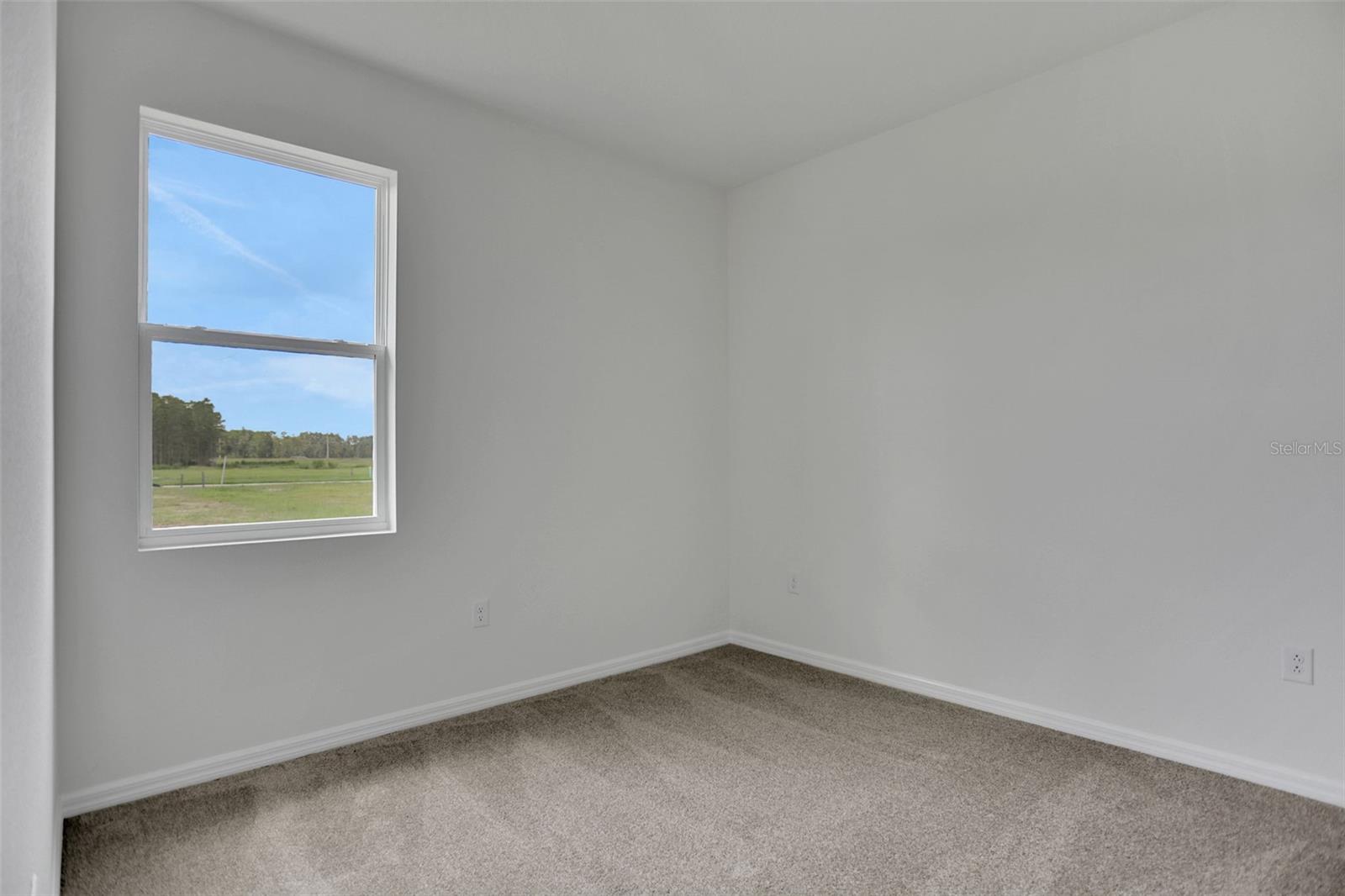 17350 CRISP APPLE LN, LAND O LAKES, FL, 34638