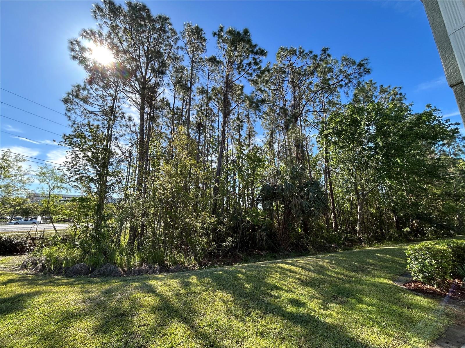 2802 BIRCHCREEK DR, WESLEY CHAPEL, FL, 33544
