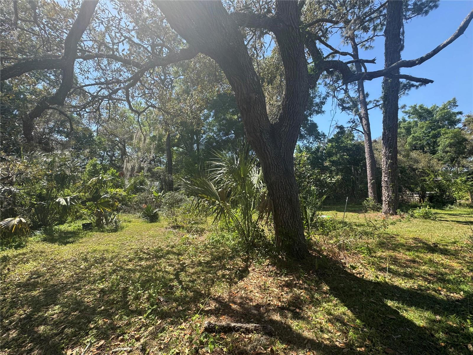 1208 N MERLIN TER, CRYSTAL RIVER, FL, 34429