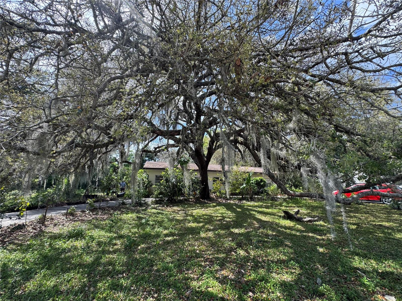 1208 N MERLIN TER, CRYSTAL RIVER, FL, 34429