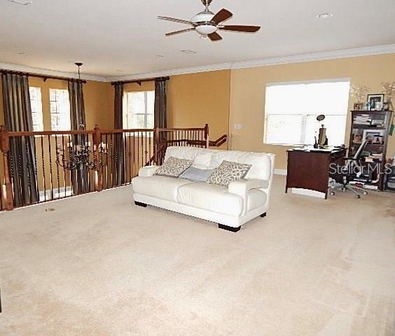 2059 TILLMAN AVE, WINTER GARDEN, FL, 34787