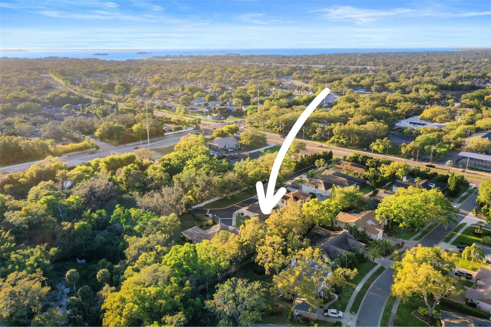 2685 WATERS EDGE CT, DUNEDIN, FL, 34698