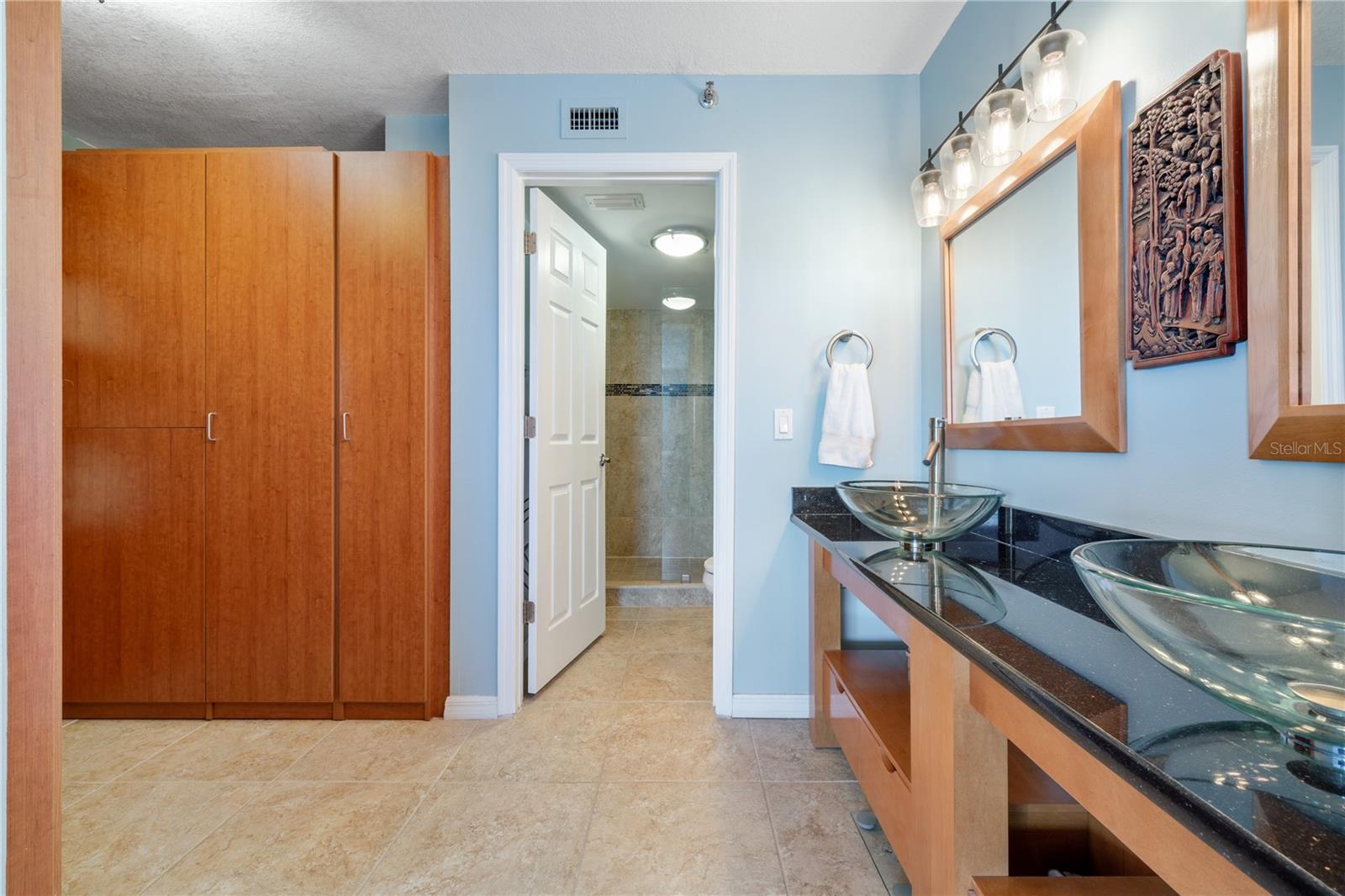 6294 BAHIA DEL MAR CIR #904, ST PETERSBURG, FL, 33715