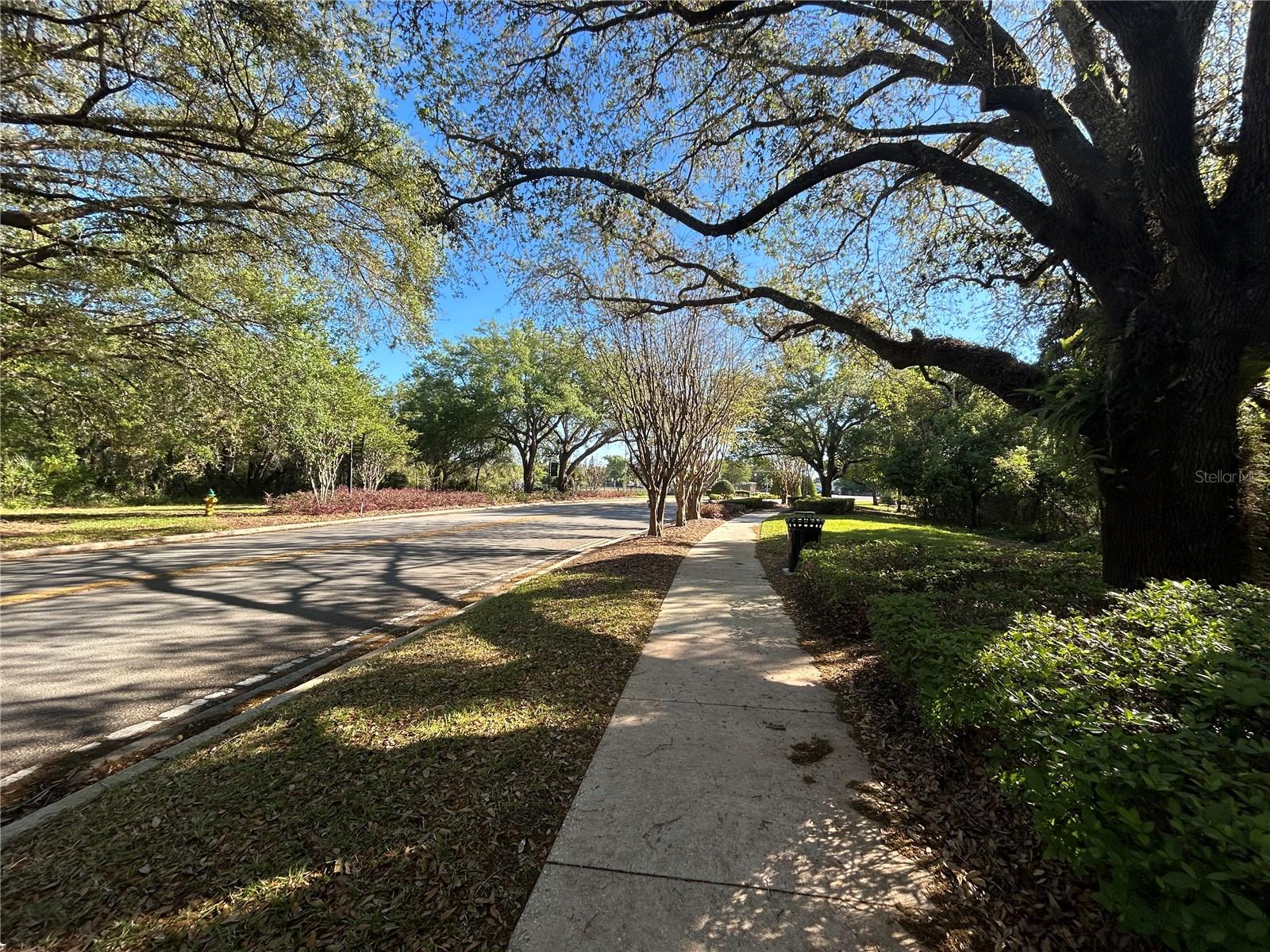 437 WILMINGTON CIR, OVIEDO, FL, 32765