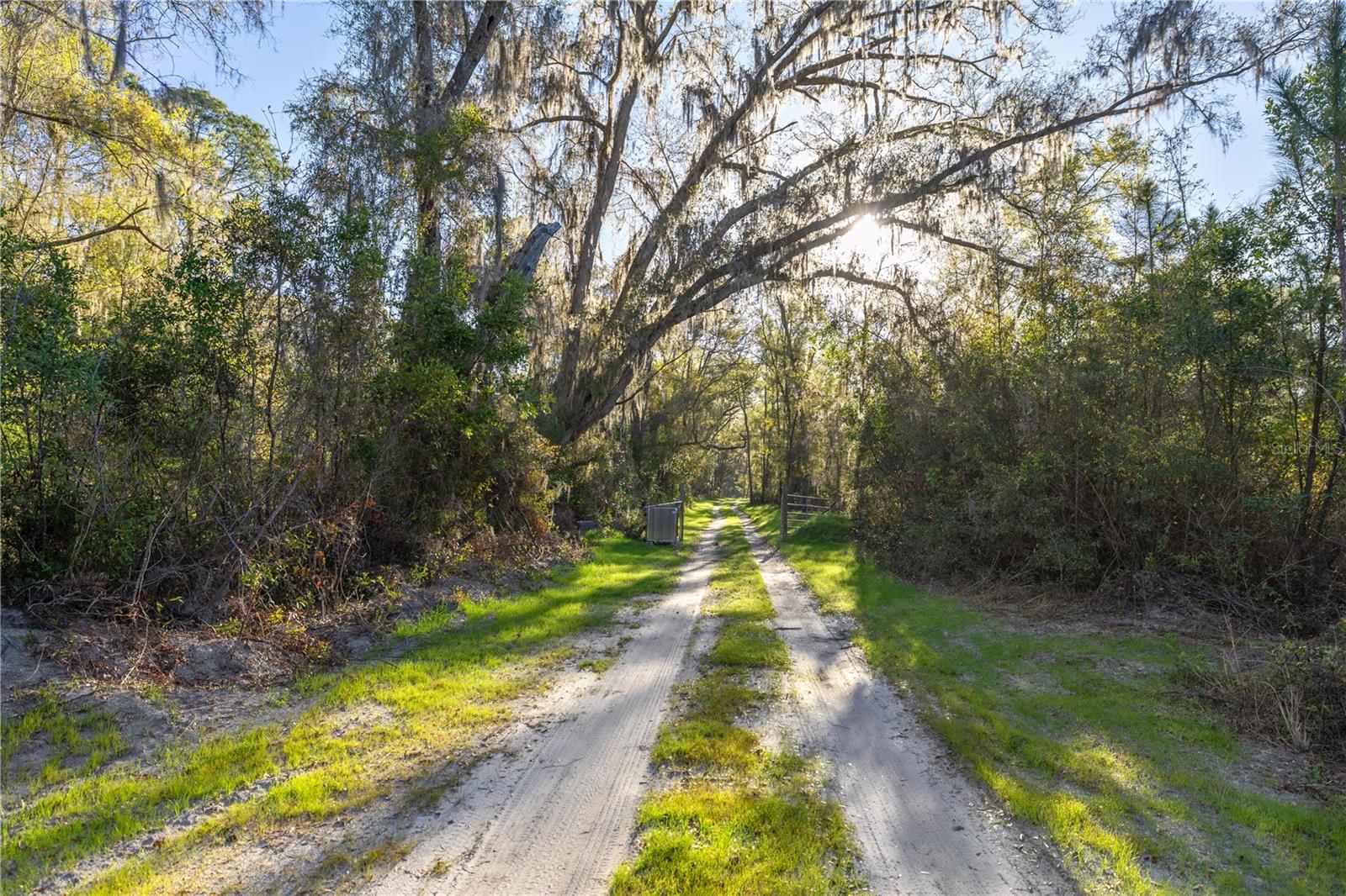14717 SW 120TH AVE, ARCHER, FL, 32618
