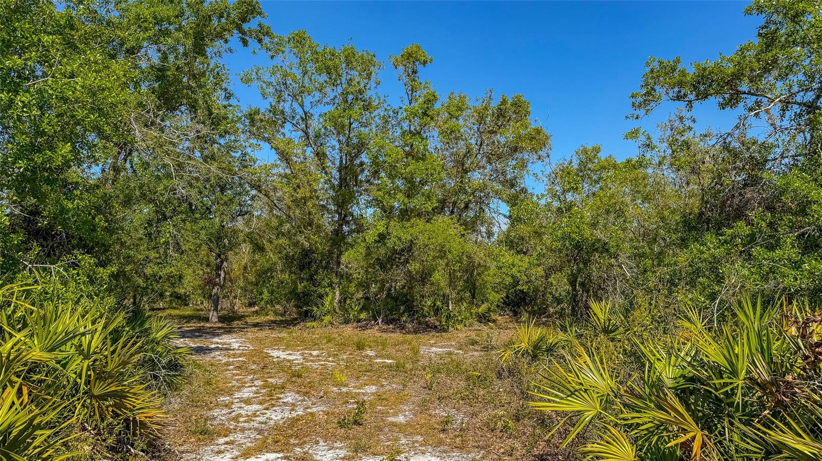 41015 20TH PL E, MYAKKA CITY, FL, 34251