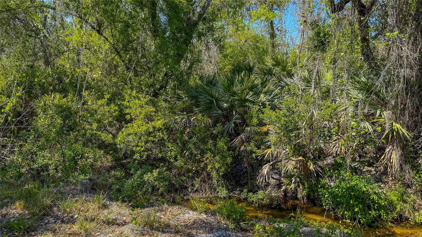 41015 20TH PL E, MYAKKA CITY, FL, 34251