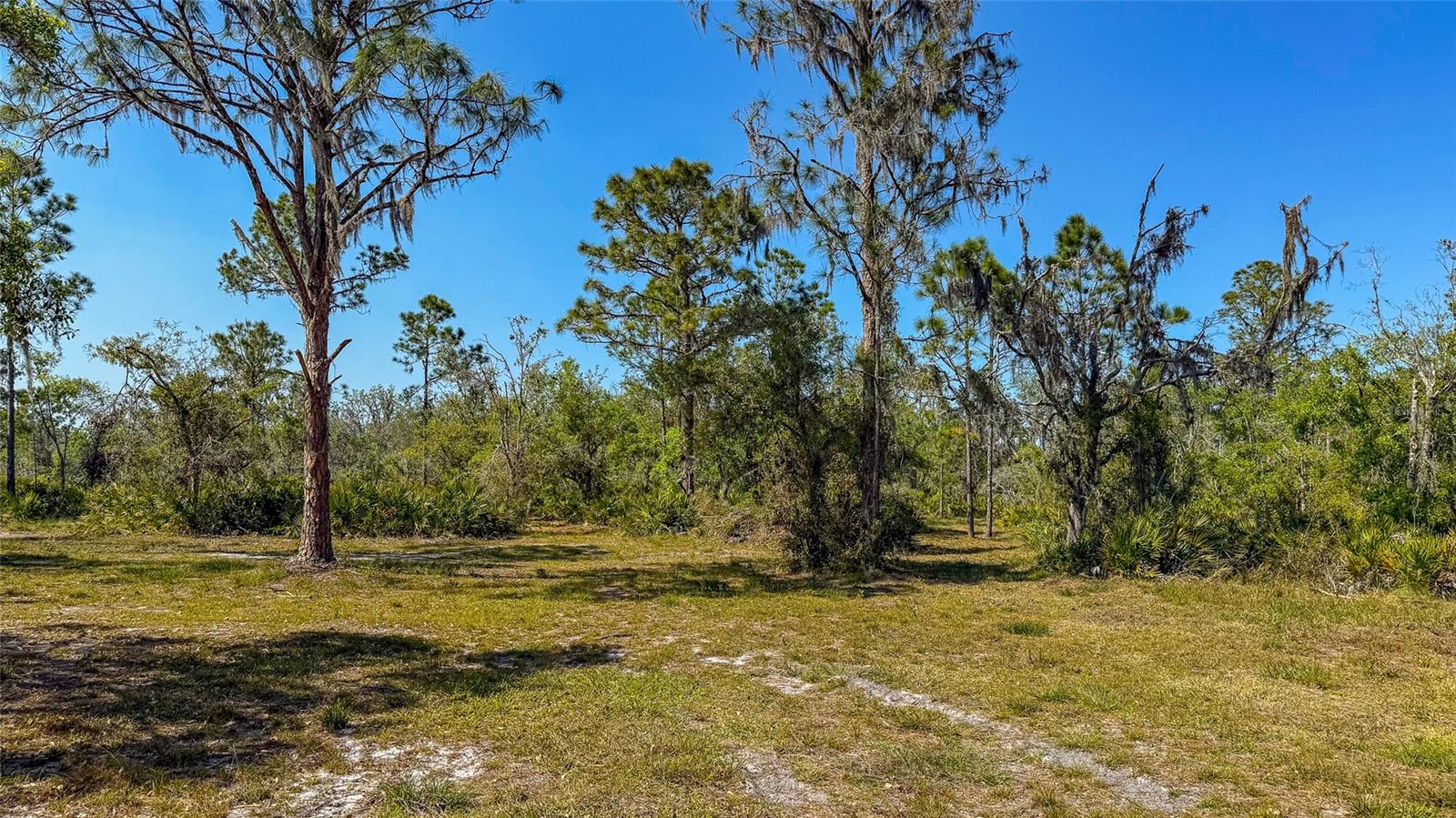 41015 20TH PL E, MYAKKA CITY, FL, 34251
