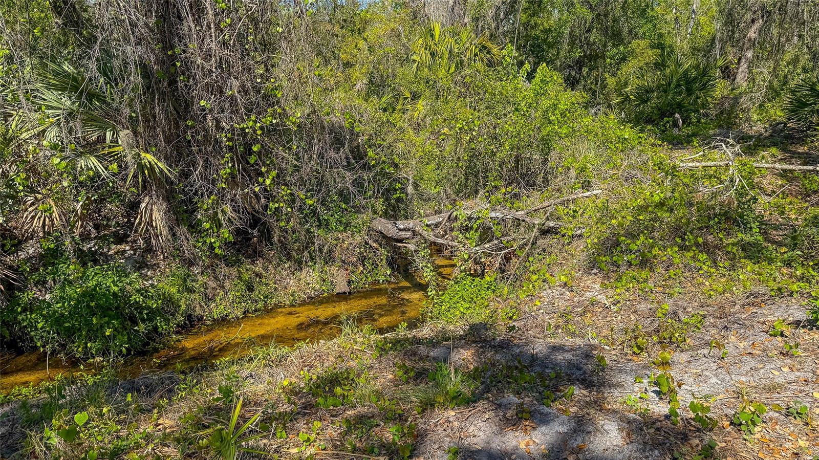 41015 20TH PL E, MYAKKA CITY, FL, 34251