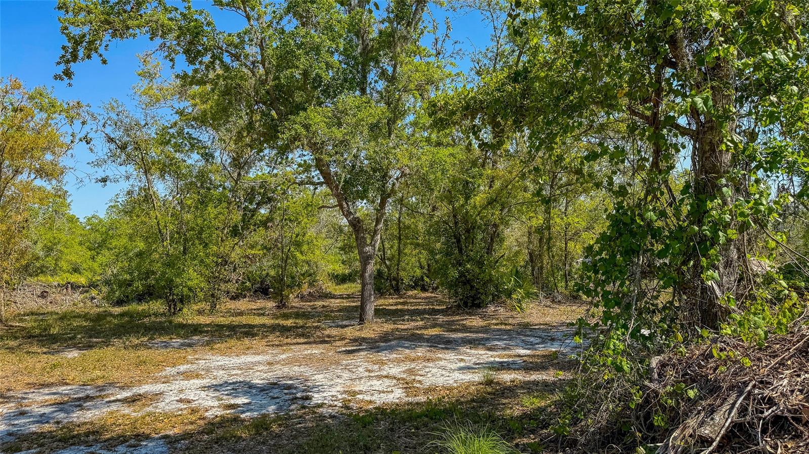 41015 20TH PL E, MYAKKA CITY, FL, 34251