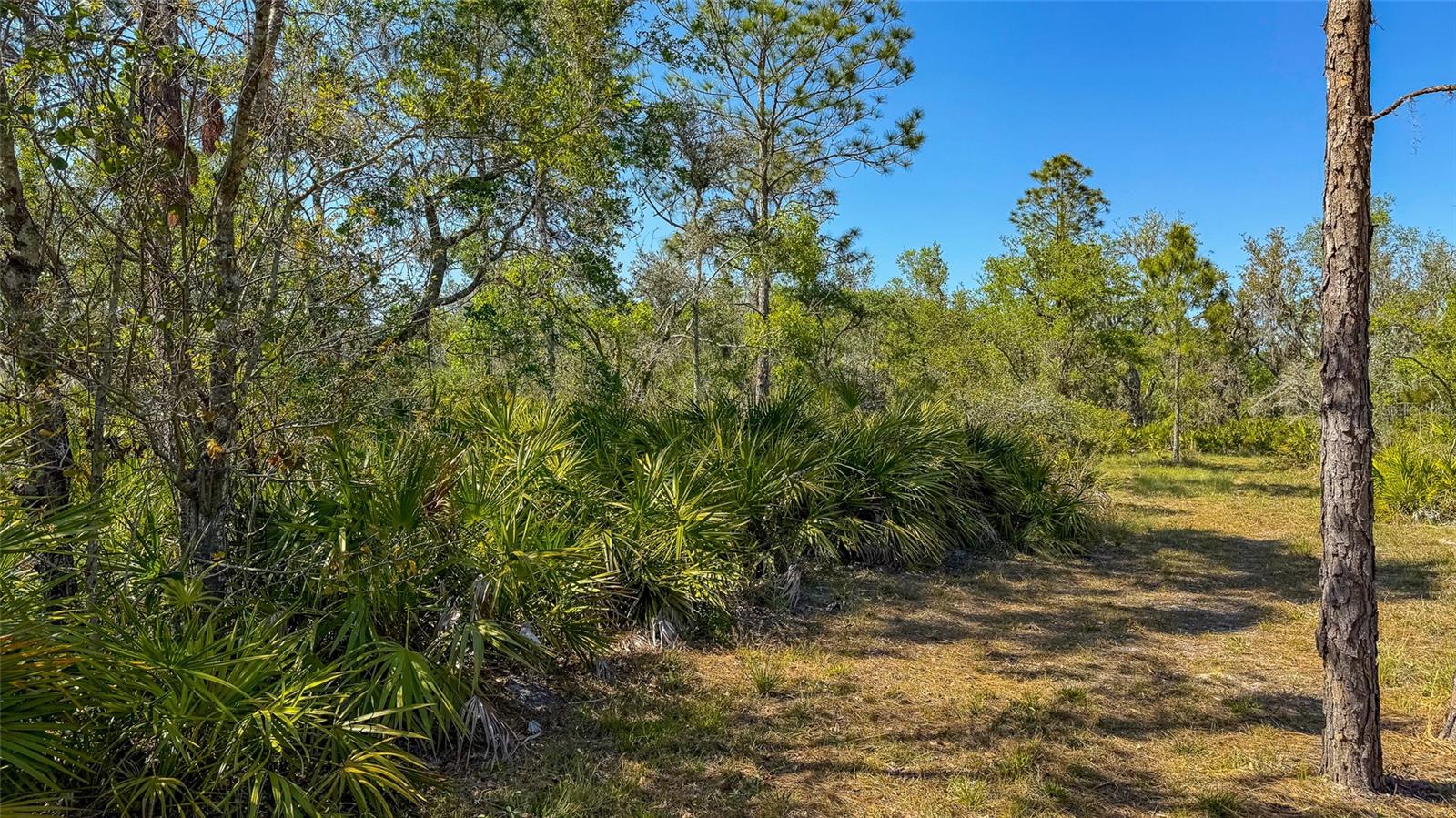 41015 20TH PL E, MYAKKA CITY, FL, 34251