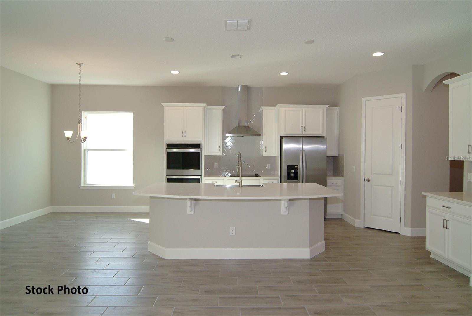 9596 BRAVE BUCK AVE, LAND O LAKES, FL, 34638